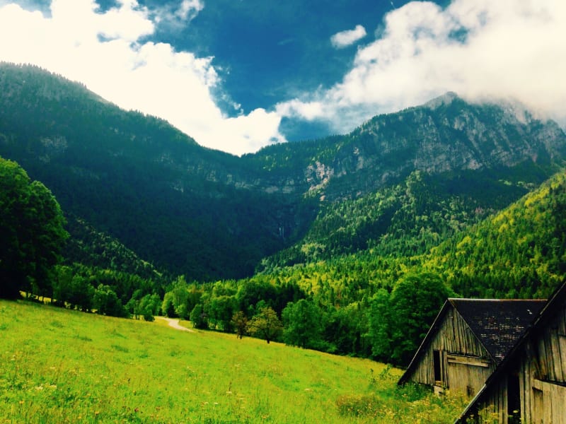 Massif de la Chartreuse et excursion féerique en forêt - Saint-Même-d'en-Haut