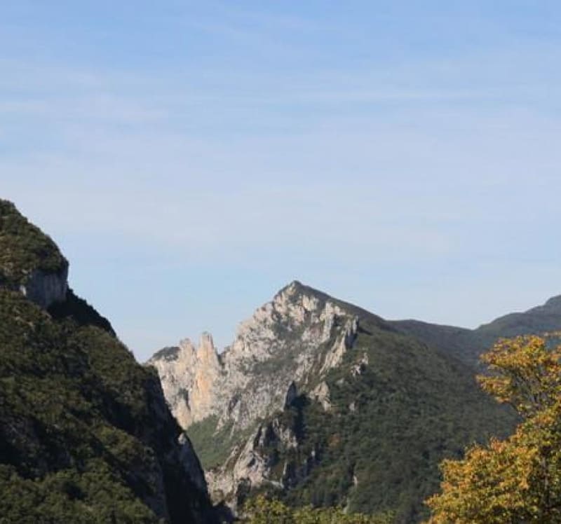 Immersion dans la forêt de Saou et vues époustouflantes - Saou