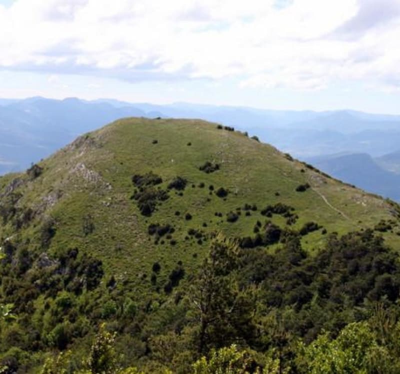 Ascension du Cougoir et terre de senteurs - Teyssières