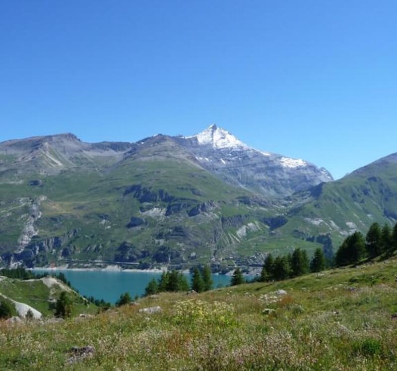 Botanische route van het Bois de la Laye en de Salins-poelen - Tignes