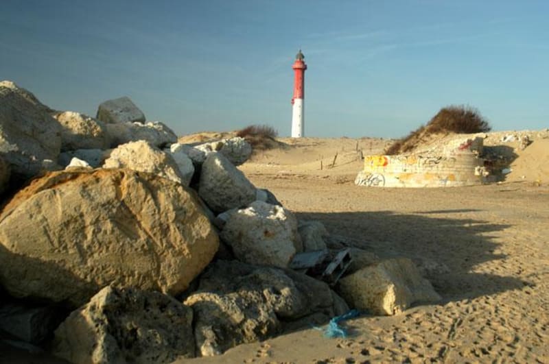 Côte de Beauté et pointe de la Coubre à vélo - Saint-Palais-sur-Mer