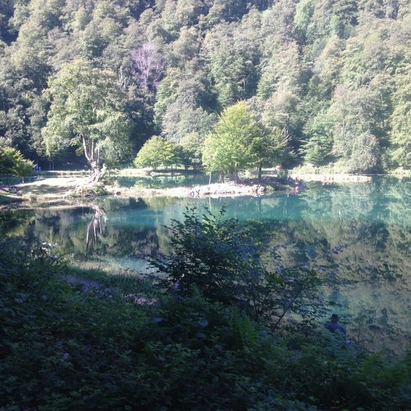 Plaisir des yeux à l'étang de Bethmale et nature luxuriante - Bethmale