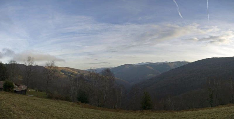 Filature d'un cervidé et virée dans les forêts ariégeoises - Montagagne