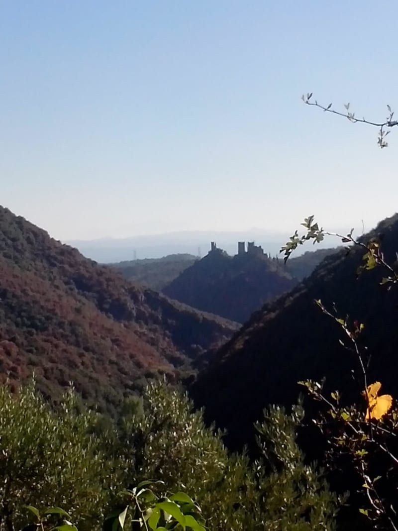 Sentier des Oliviers et beautés du Cabardès - Ilhes-en-Cabardès