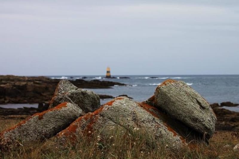 S'attarder sur l'Ile d'Yeu et son sublime Chemin de Noroit - Ile d’Yeu