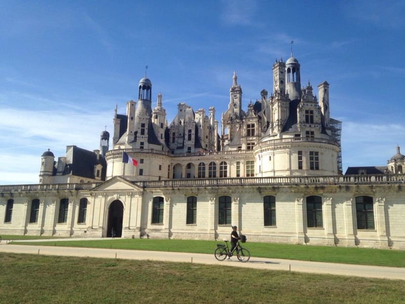 Découverte de la biodiversité au Parc du château de Chambord - Chambord