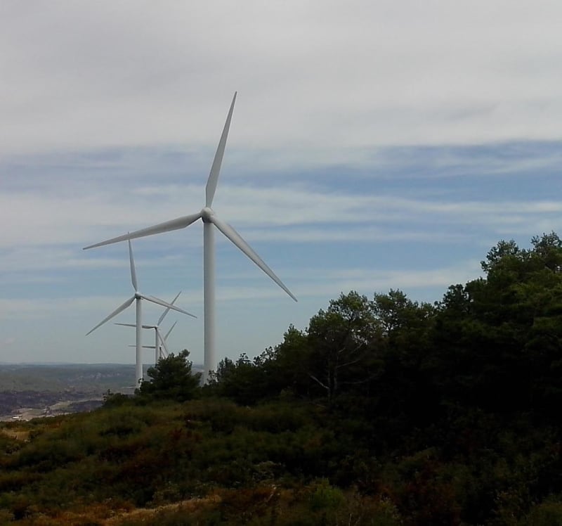 Sublimes collines de Pouzols et chants des éoliennes - Pouzols-Minervois