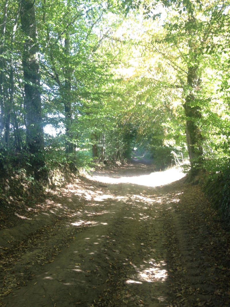 Saint-Martin-le-Vieux et sa balade champêtre - Saint-Martin-le-Vieux