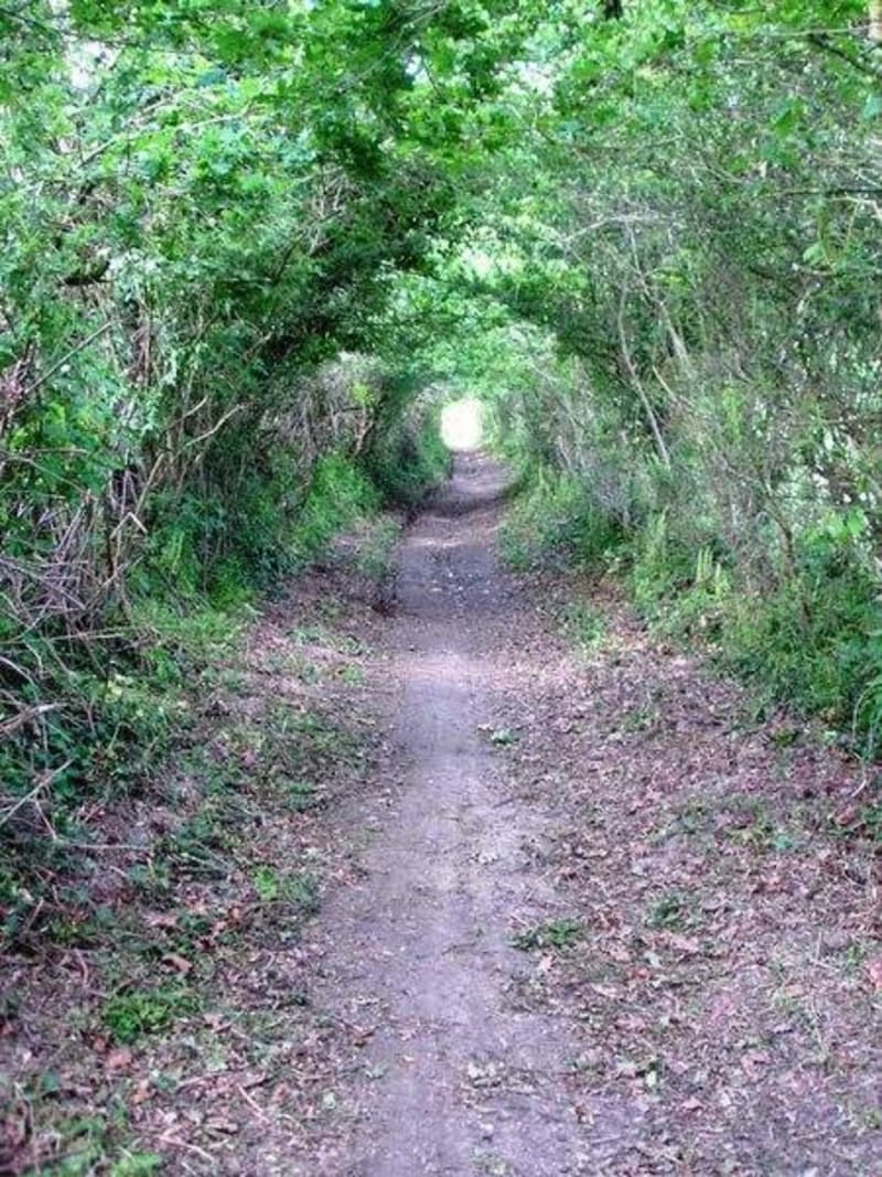 Le Poiré-sur-Vie et explorer ses chemins creux - Le Poiré-sur-Vie