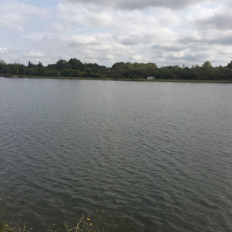 Lac des Dagueys et charmante balade au fil de l'eau - Libourne