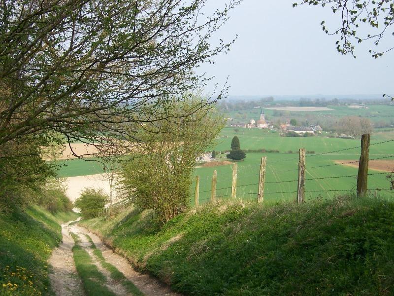 Tour de l'hippodrome de Mauquenchy et marche verte - Mauquenchy