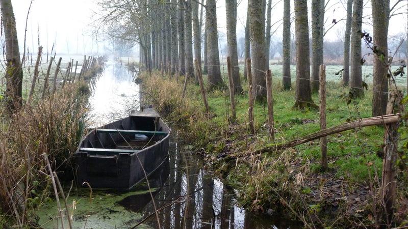 Dans les marais du Haut-Brivet et mosaïque de paysages - Drefféac