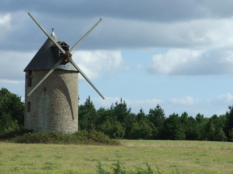Marais de Brière et moulins dans les prés - Sainte-Reine-de-Bretagne