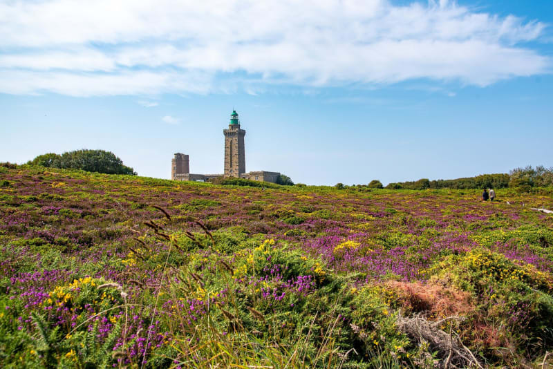 Escapade sur le GR® 34 jusqu'au Cap Fréhel - Plévenon