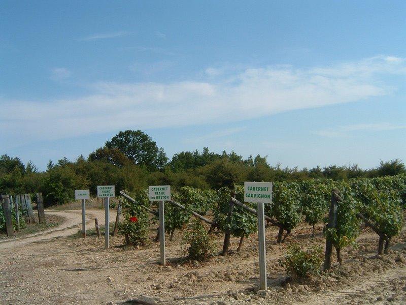 Pampa de Pamproux et mosaïque de paysages - Pamproux