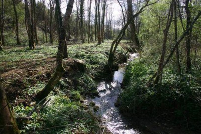 D'un château à l'autre, Bouliac, ses forêts et coteaux - Bouliac