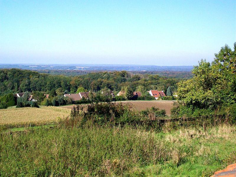 Village de Fleurines et apprendre à lire la forêt - Fleurines