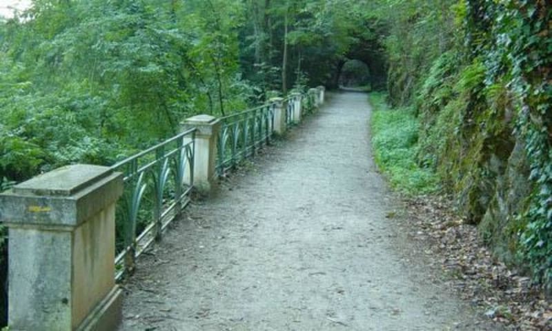Boucle de la Parulle à Castres et sérénité dans les bois - Castres