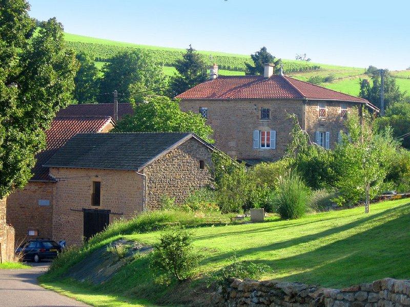Vaux-bossen in Verzé en Bourgondische valleien - Verzé