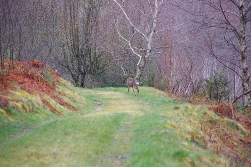 Crête du Planel et funambulisme entre vallées - Le Bosc