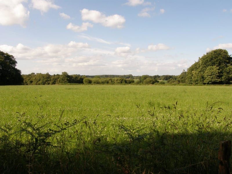 Bignan, sentier des landes et zénitude bretonne - Bignan