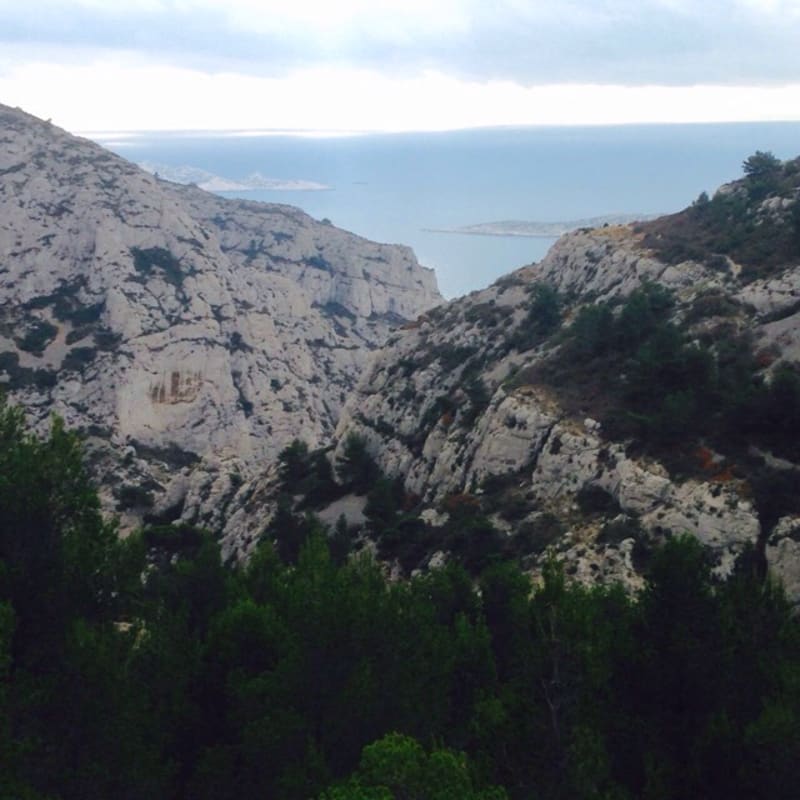 Echappée sauvage à Marseillveyre et espèces endémiques - Marseille