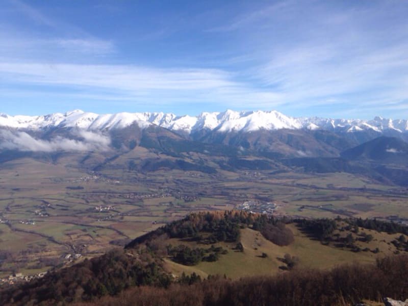 Montée au Serre de l'Horizon et calme des alpages - La Motte-d'Aveillans