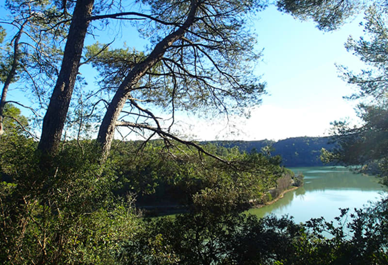 Le lac d'émeraude Carcès - Carcès