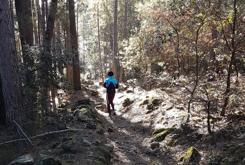Plongée sur l'Ardèche depuis les hauteurs du Vieil Ucel - Ucel