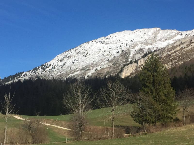 Boucle du plateau des Allières et ambiance bucolique - Villard-de-Lans