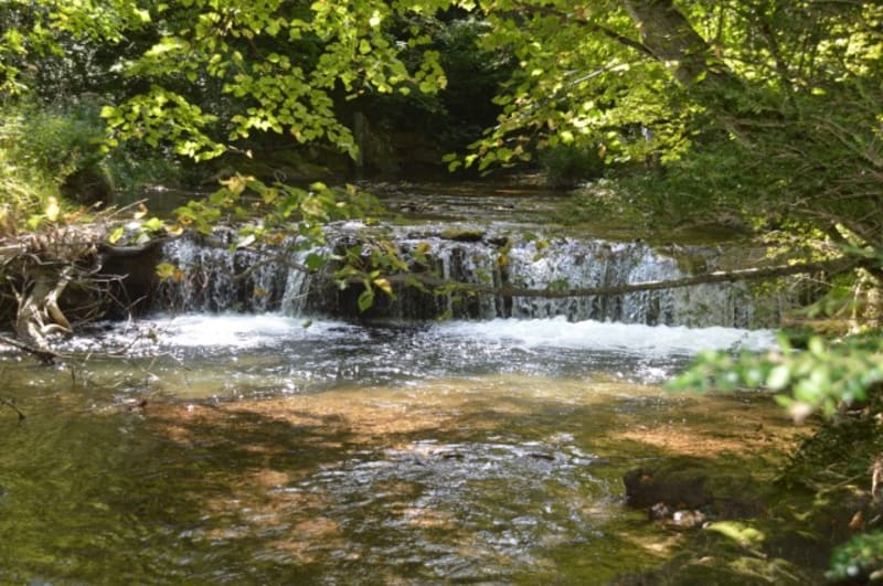 Cascade de la Druise et sensuelles gorges d'Omblèze - Omblèze