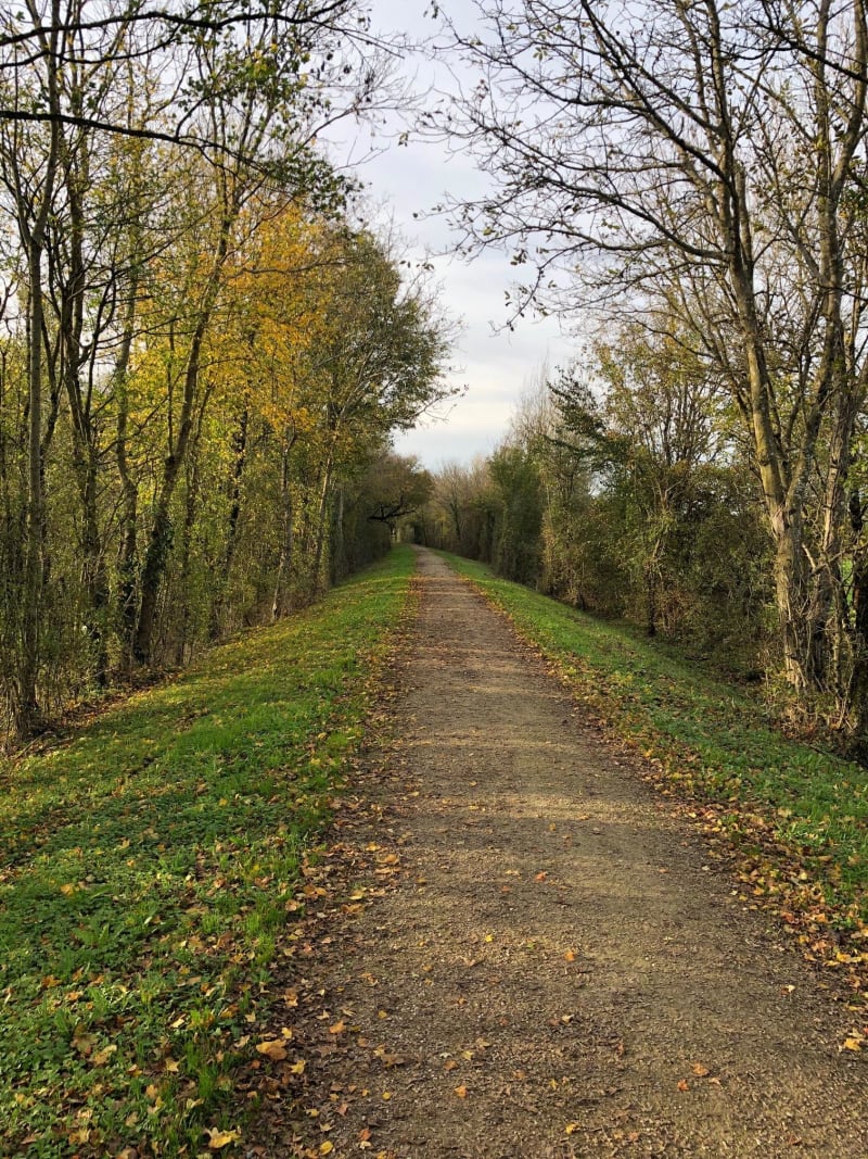 Campagne Prahecquoise et aventure ressourçante à VTT - Prahecq