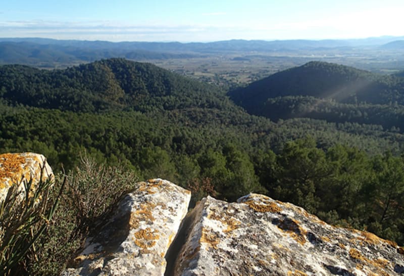 Secrets Provençaux et vue sur l'oppidum oublié de Rocbaron - Rocbaron