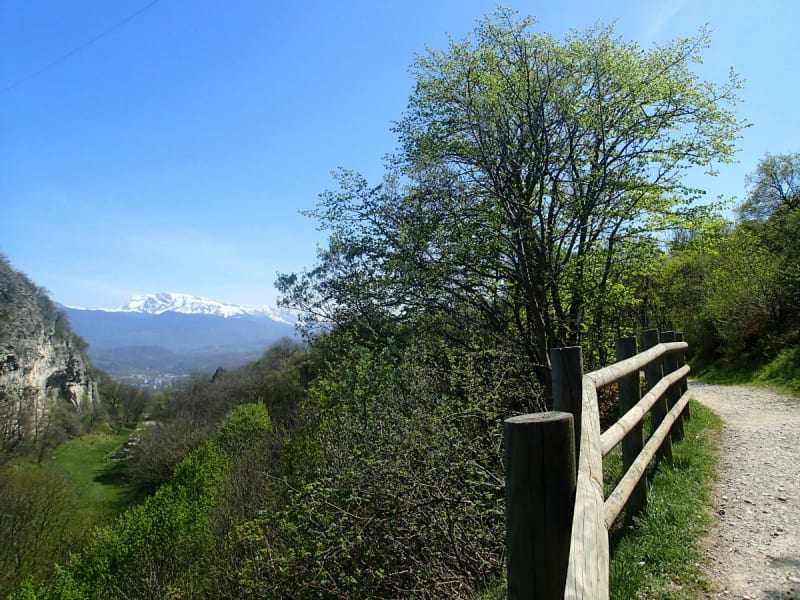 Bois Roland et rêves sur les pas de Rousseau - Seyssinet-Pariset