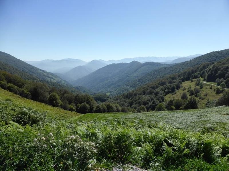 Promenade autour d'Esteiches et chevaux ariégeois - Seix