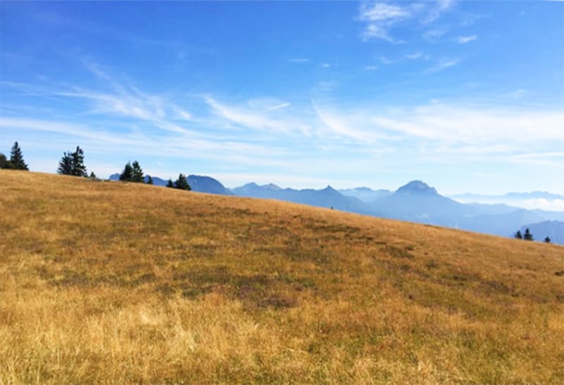 Plateau de Sornin, Dent du Loup et beautés d'Engins - Engins