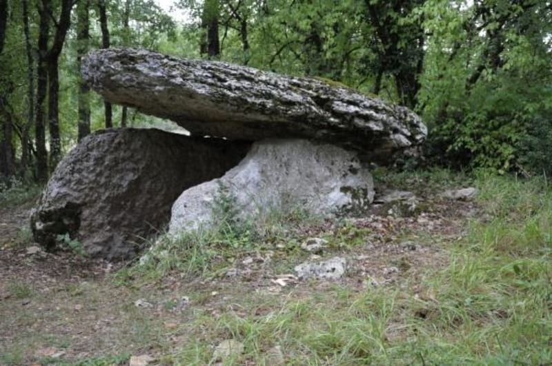 Imposants dolmens de Martiel et légers chants d'oiseaux - Martiel