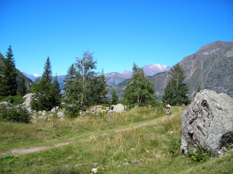 Lac Lauvitel et cueillette de baies sauvages - Lauvitel