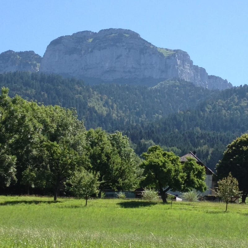 Chalet Chapuis et double mystère du Parmelan - Villaz