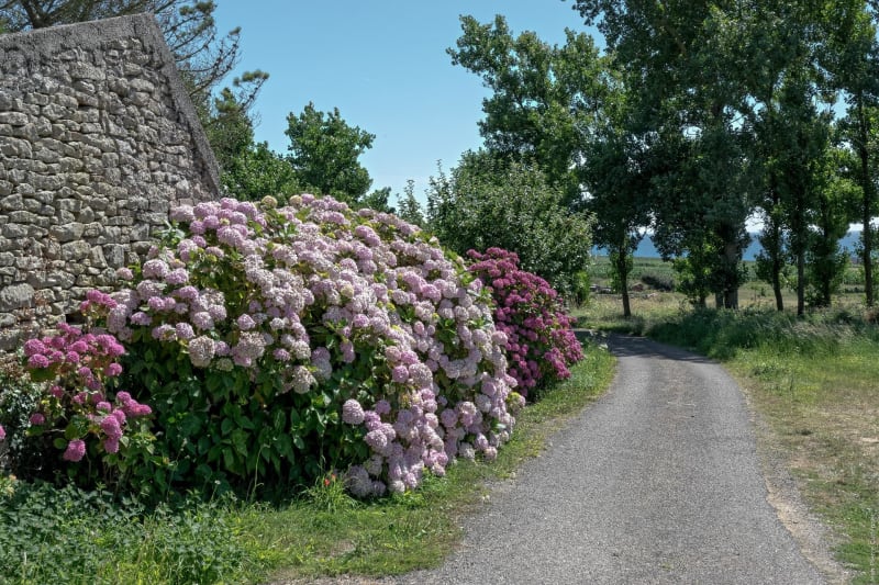 Balade autour de Plozévet et goûter gourmand - Plozévet