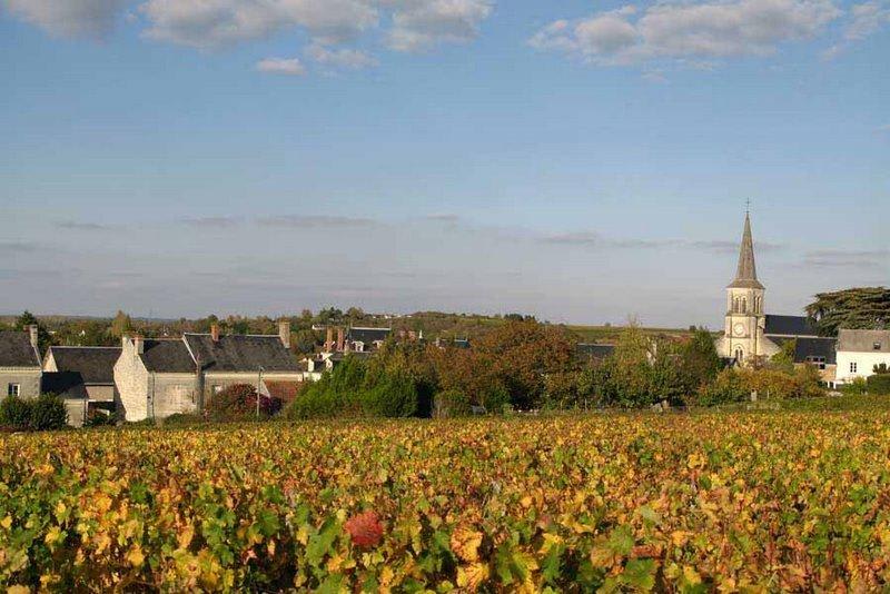 Beaumont-en-Véron et balade enivrante, les vignes à cœur - Beaumont-en-Véron