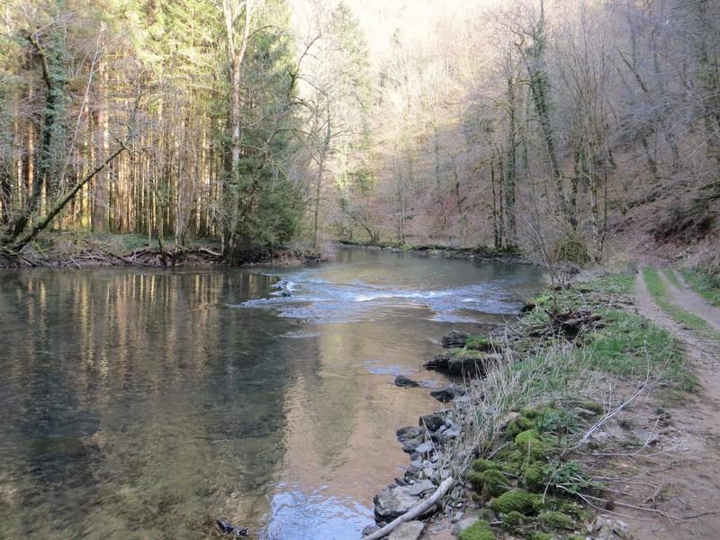 Plongée dans les Gorges du Lison, au pays des crapauds - Éternoz