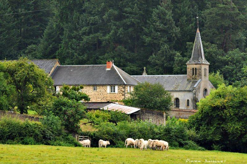La Petite-Verrière et partage d'émotions dans la forêt - La Petite-Verrière