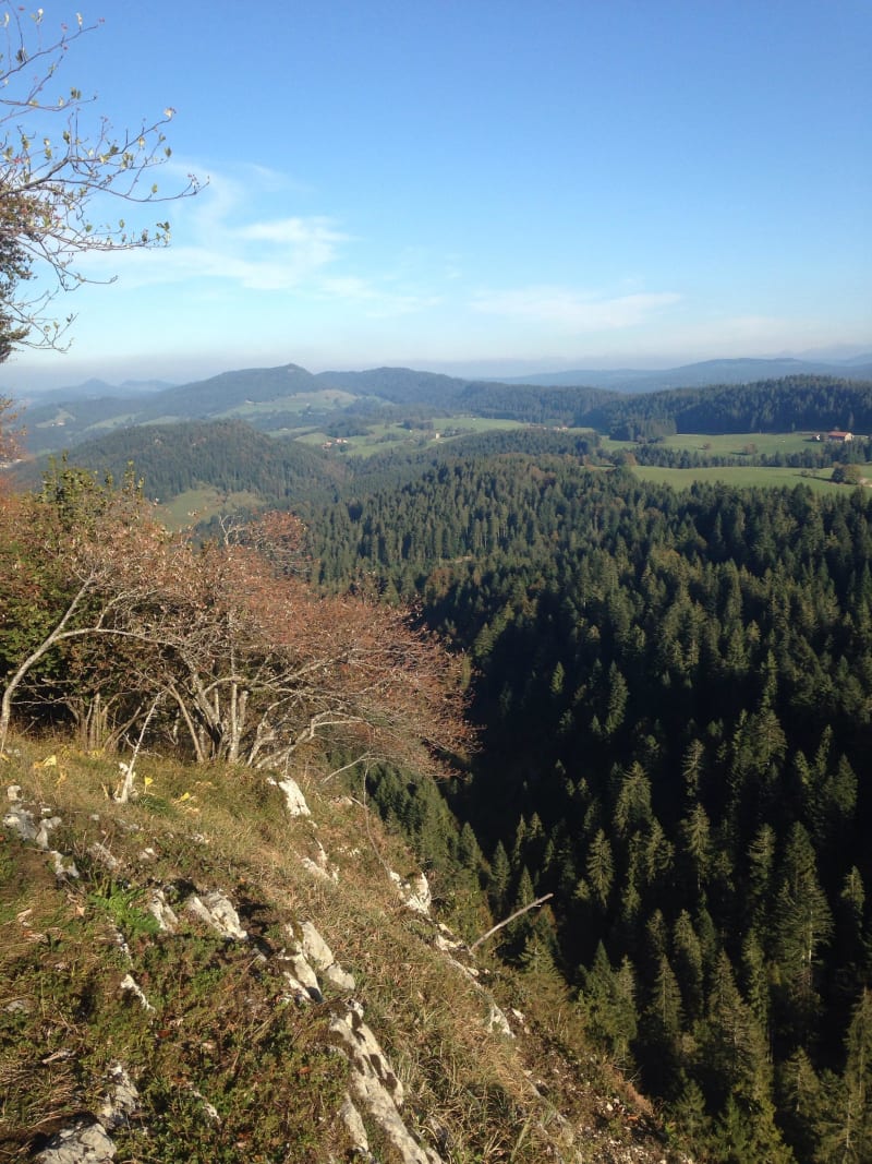 Evasion jusqu'aux Rochers du Cerf et vues merveilleuses - Les Gras