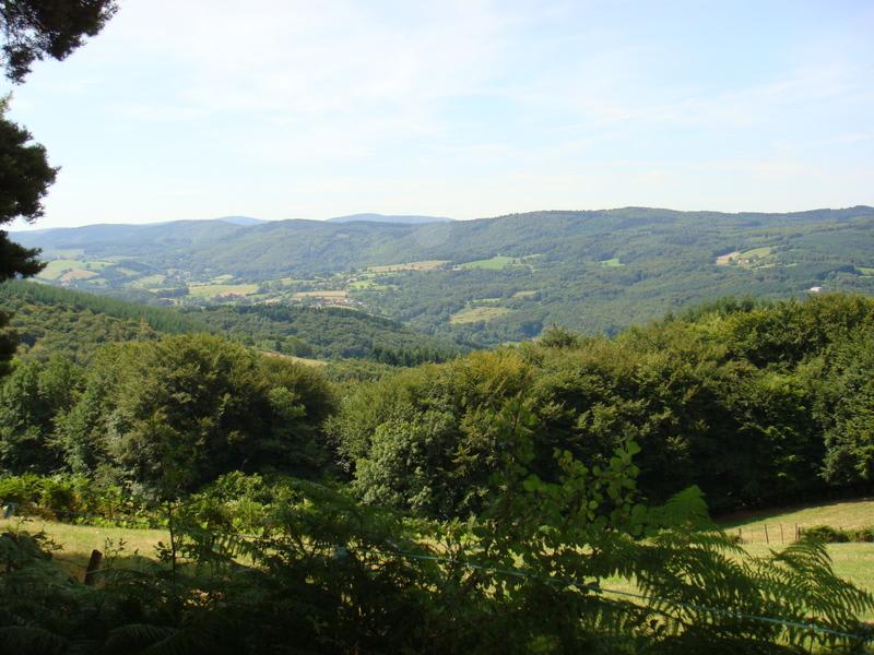 Circuit, lac et forêt de Saint-Clément - Le Mayet-de-Montagne