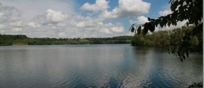 Contourner le lac de la Liez et observer les oiseaux - Peigney