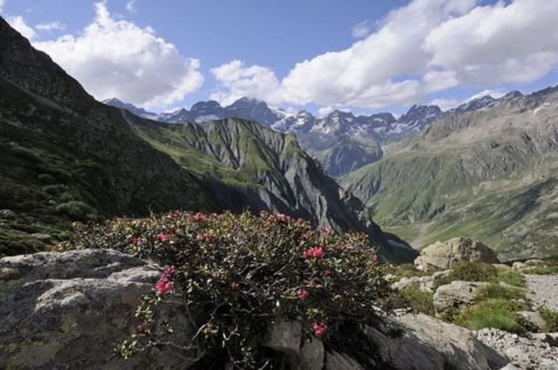 Gioverney Cirque en het oversteken van de bergweiden - La Chapelle-en-Valgaudémar