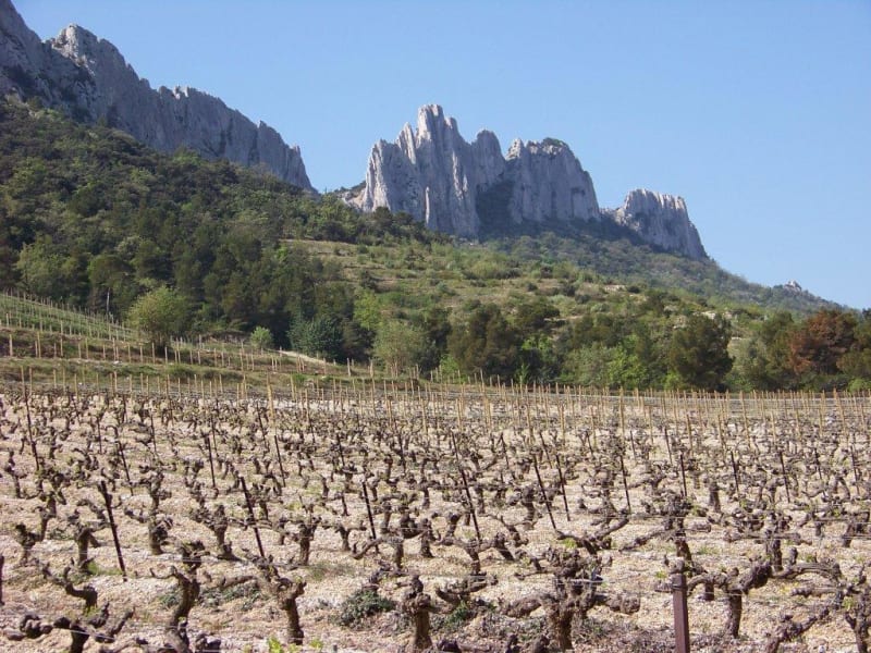 Arpenter les Dentelles sarrasines et se délecter de la vue - Gigondas