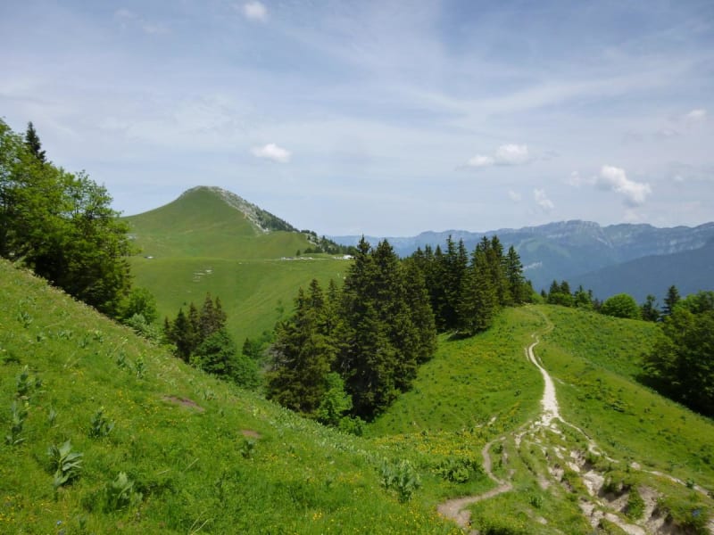 Montée au Charmant Som et merveille pour les yeux - Le Sappey-en-Chartreuse