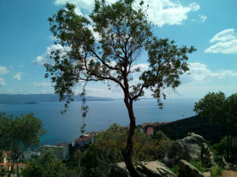 Ascension du Mont Cacalo et bain de soleil - Ajaccio